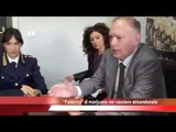 Marijuana coltivata in un casolare abbandonato, Tg 21 Ottobre 2015