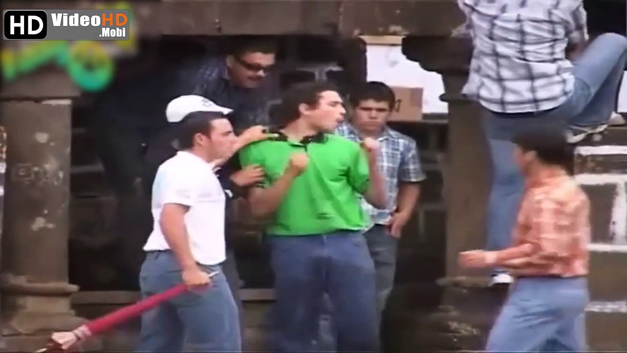 Funny Animals Videos about the Gaur crazy, Best Funny Videos 2015 (P2)
