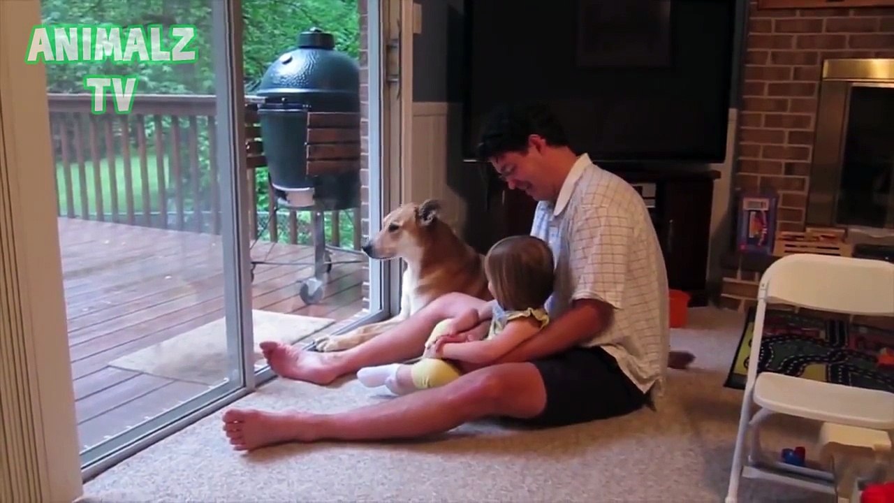 Funny And Cute Pets Long Compilation June 2015 [Full HD 1080p VIDEO]
