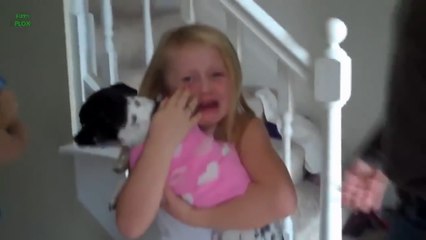 Лучший подарок - это собака