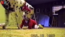 Funny babies dogs _ Best funny baby and animal videos compilation 2015 HD _ Part 1