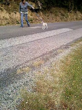 Luther King Du Puech d'Argent; 2 mois et demi