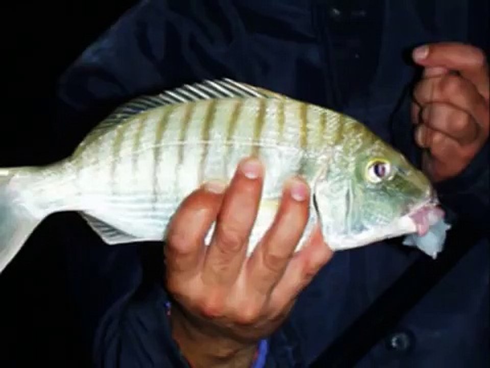 Surf-casting en el Sahara; Shore fishing in the Sahara