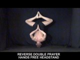 100 Yoga Poses By Jared Six 4.(Lots Of New Yoga Poses)