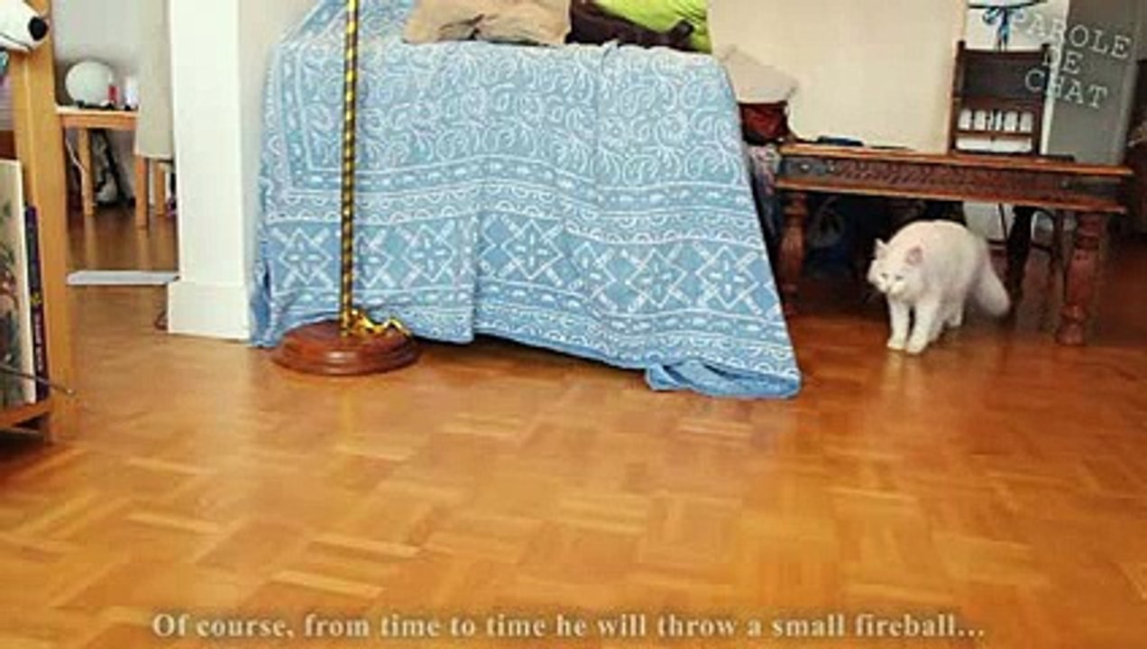 Mario fait peur aux chats