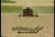 Wheat Paidawari Technology Pakistan -1 Dr.Ashraf Sahibzada