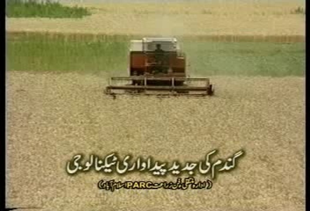 Wheat Paidawari Technology Pakistan -1 Dr.Ashraf Sahibzada