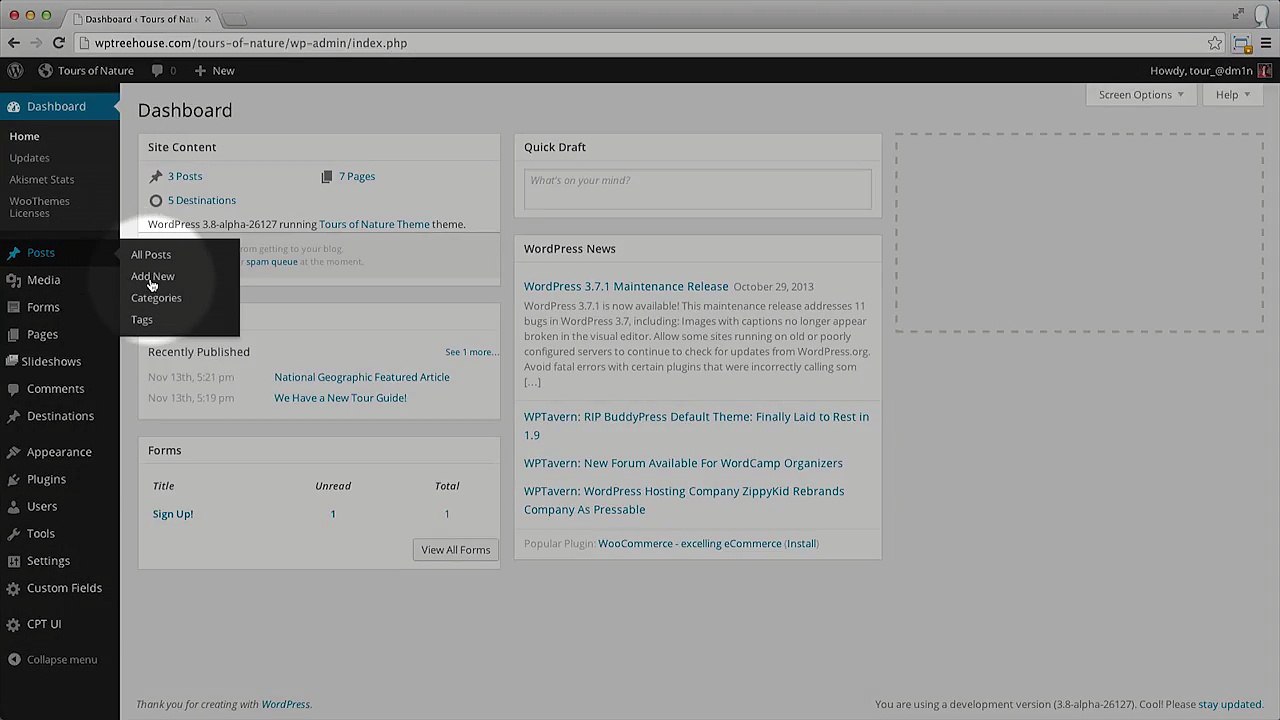 wordpress (Publish Page Overview)