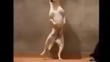 это надо смотреть