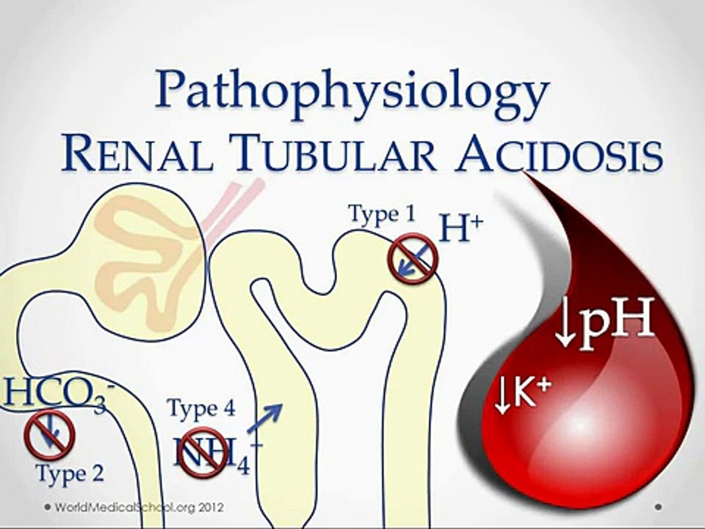 ⁣Renal Tubular Acidosis - USMLE STep 2 Review