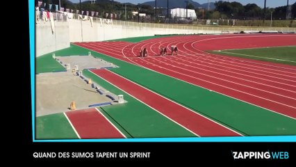 Un petit garçon réalise son rêve en prenant un bain de chiots