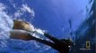 Watch Human Shark Bait Videos Online - National Geographic Channel - Canada_2