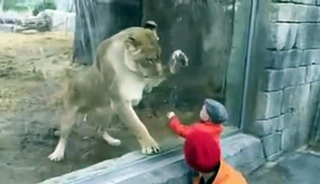 Young girl and lion