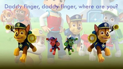 PAW PATROL Finger Family Nursery Rhymes PAW PATROL Finger Family Songs Daddy Finger Lollip