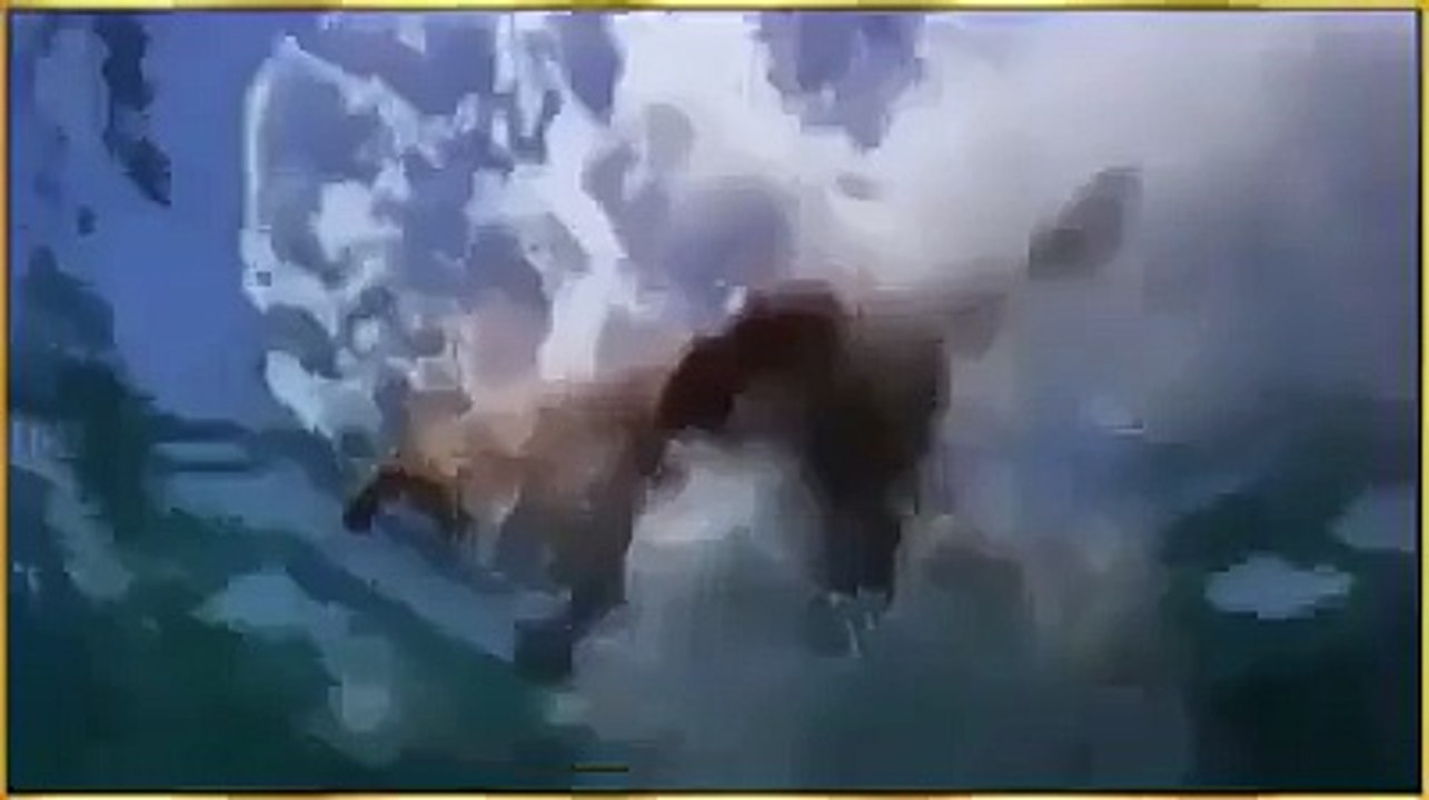 video clip_how the animals behave in a certain way_beutiful video_must watch_entertainment video clip