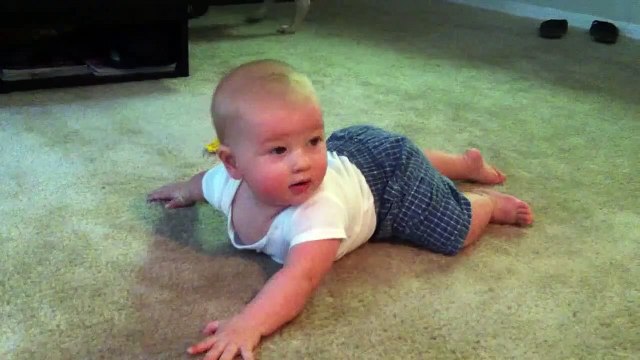 ★ PERRO Y BEBE SON LOS MEJORES AMIGOS DEL MUNDO! - Perros Locos Humor Divertidos Perros Chistosos