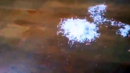 How to get rid of cockroaches