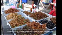Chinas New Cockroach Eating Trend, a Booming Business