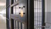 South Carolina Inmates Punished for Making Rap Video