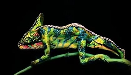 Impressive bodypainting art from very talented Johannes Stötter Chameleon