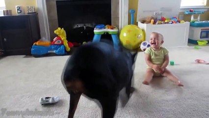 Funny Babies and Animals - Cute Baby & Animal Compilation