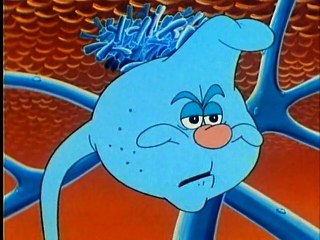 Siamo fatti così - 23 - La pelle