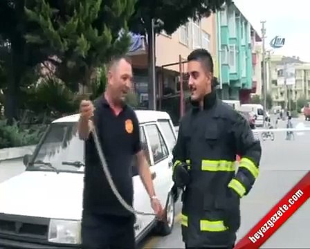 Stajyer itfaiyecilere yılan yakalama eğitimi İtfaiye Eri, İtfaiyeciler