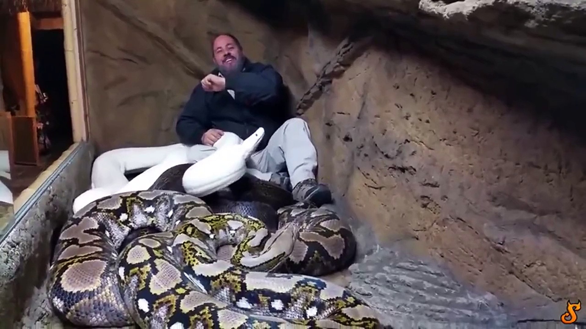 Attack of the Giant Snake Man stopping the cage