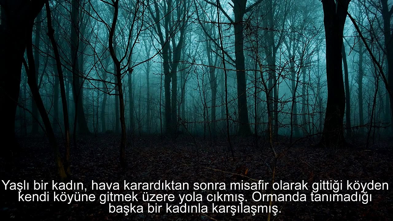 Korku Hikayeleri Bölüm 1 :GECE ORMANDA (İBRETLİK HİKAYE)