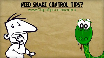 How to Get Rid of Snakes in Your Yard | Getting Rid of a Snake in the Garden Naturally