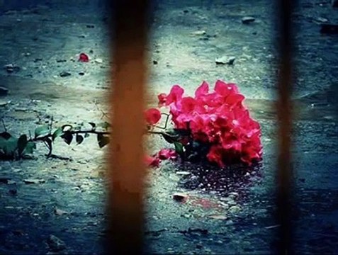 Adınla Büyü Bebeğim ! (Harika Müziksiz Ezgi)