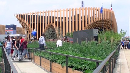 D!CI TV : Plus que quelques jours pour profiter de l'Expo Universelle à Milan