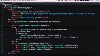 #8 Conditional Classes With ngClass - AngularJS For Everyone (HD)