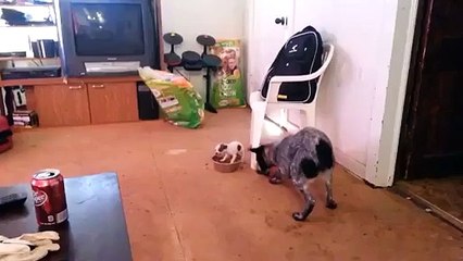 En hızlı patates nasıl temizlenir _