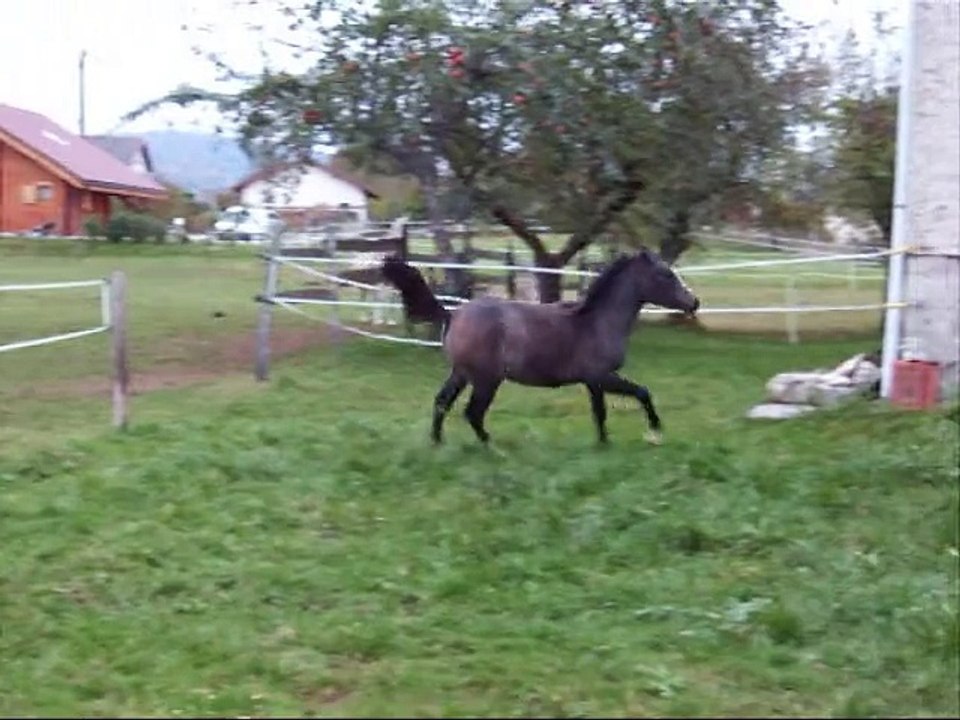 naska22102015