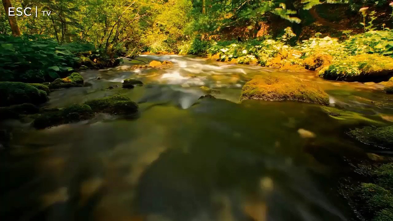 Eurovision Song Contest 1 | Madrid, Spain | Grand Final | 01 Croatia