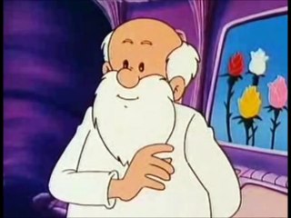 Il était une fois la vie : Thème principal