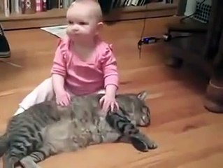 Kucing Yg Sangat Penyabar