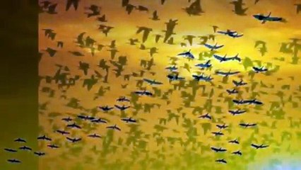 ''En Başta Ve En Sonda''...Kağan İşçen