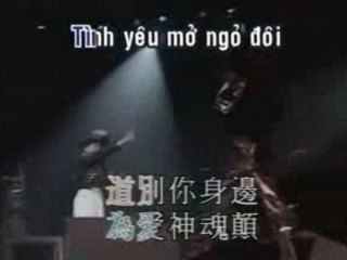 Tinh yeu chan ly - Andy lau ( hoa viet )