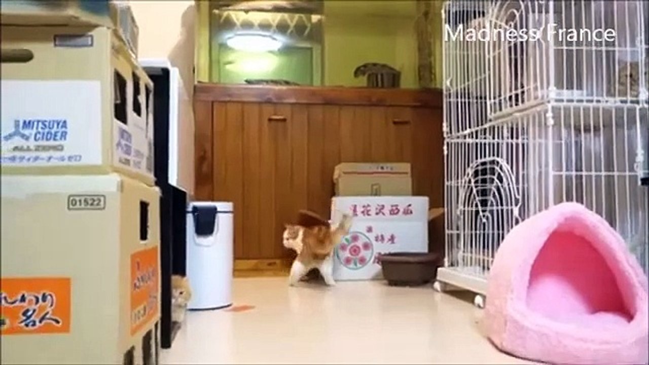 Robot Vs Chats