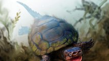 Fossil Remains Of 76-Million-Year-Old Pig-Snouted Turtle Unearthed