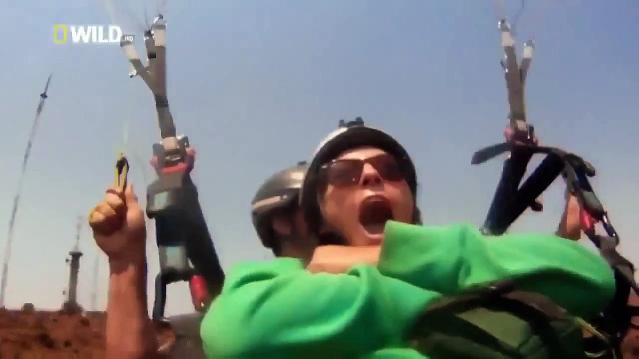 Africas Weird Animals ★ National Geographic ★ Nature Documentary Wild Life Freaks And Cre