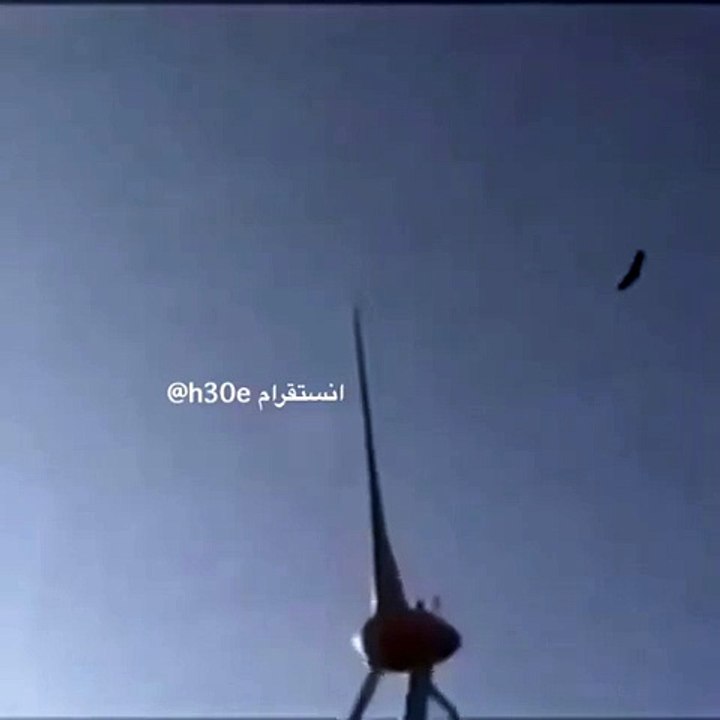 هذا صقر خكري ضرب في الطاحون