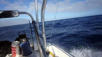 Bait barge ..nice dines & mini macs