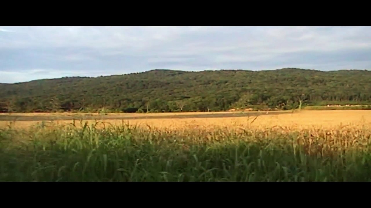 Endurance X Banks of Savannah - J.Smo of BUNKS