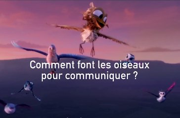Gus, petit Oiseau, grand Voyage - Featurette (3)