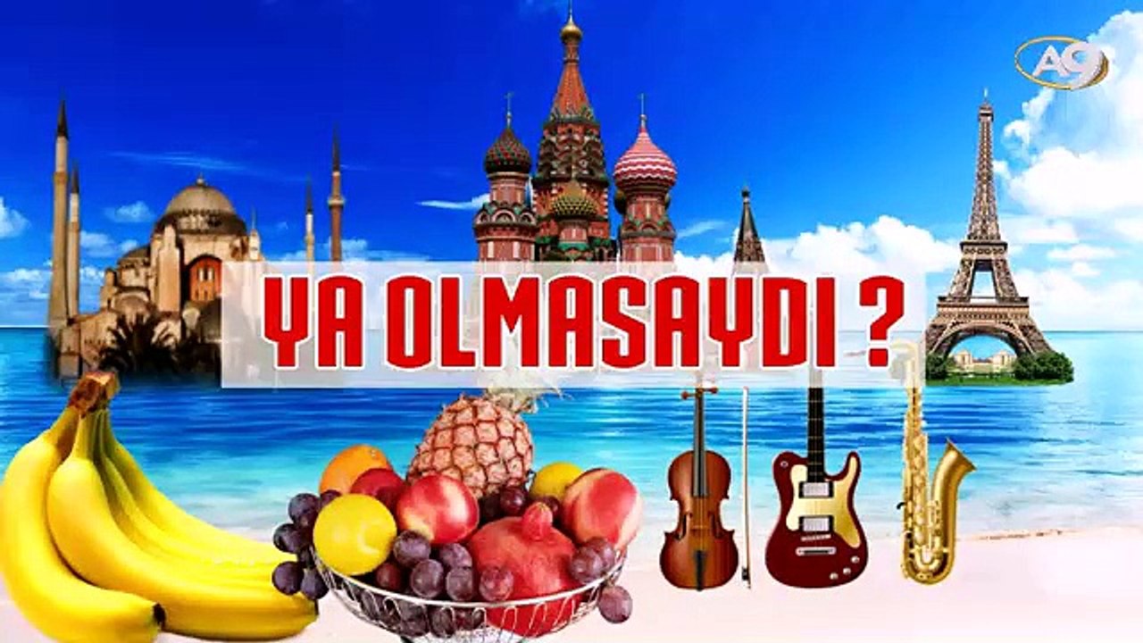 Ya Olmasaydı? 9 - Ormanlar ve Fotosentez