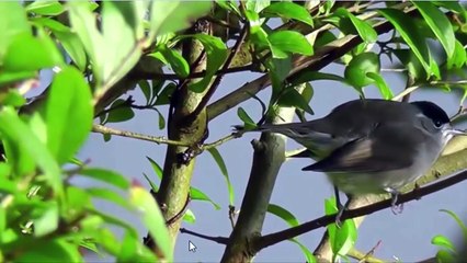 ‫مفيش صاحب يتصاحب ؟ مدى صحة المقولة!!