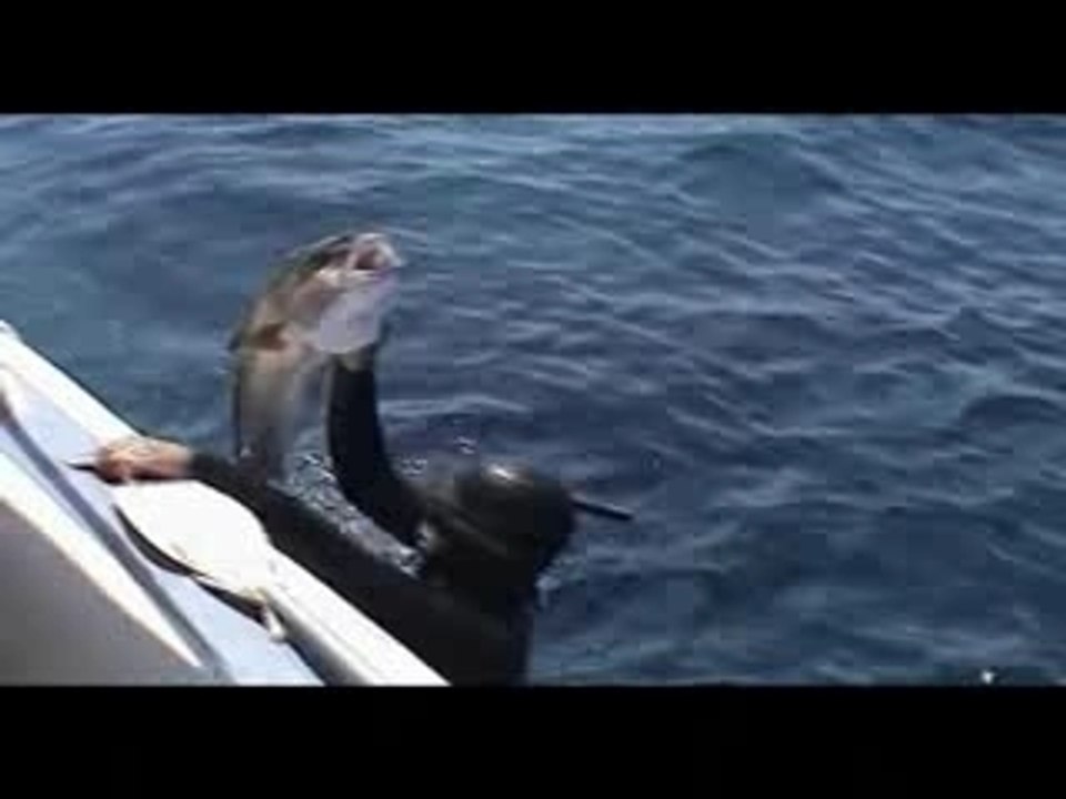 chasse sous marine b.a "gréce"